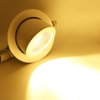 DOWNLIGHT LED SPOTS LED